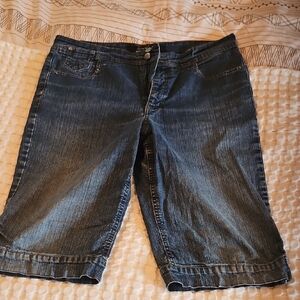 Gloria Vanderbilt Classic Blue Jean Shorts Size 14